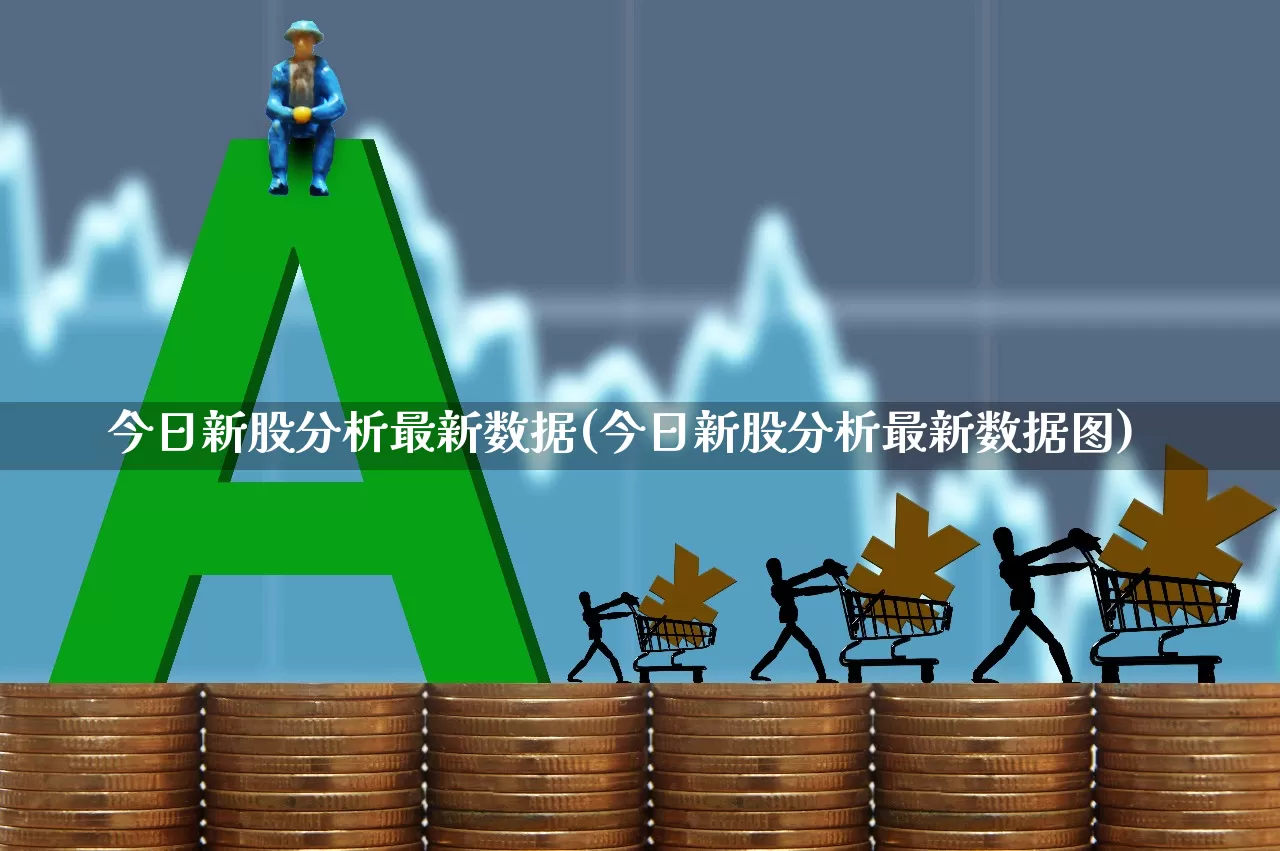 今日新股分析最新数据(今日新股分析最新数据图)_https://www.xzdzchf.com_北交所_第1张