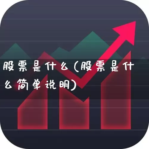 股票是什么(股票是什么简单说明)_https://www.xzdzchf.com_上交所_第1张