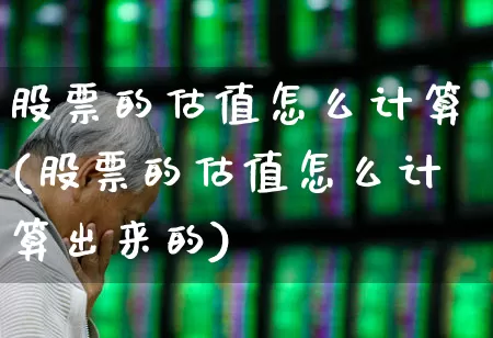 股票的估值怎么计算(股票的估值怎么计算出来的)_https://www.xzdzchf.com_科创板_第1张