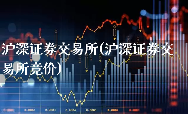 沪深证券交易所(沪深证券交易所竞价)_https://www.xzdzchf.com_深交所_第1张