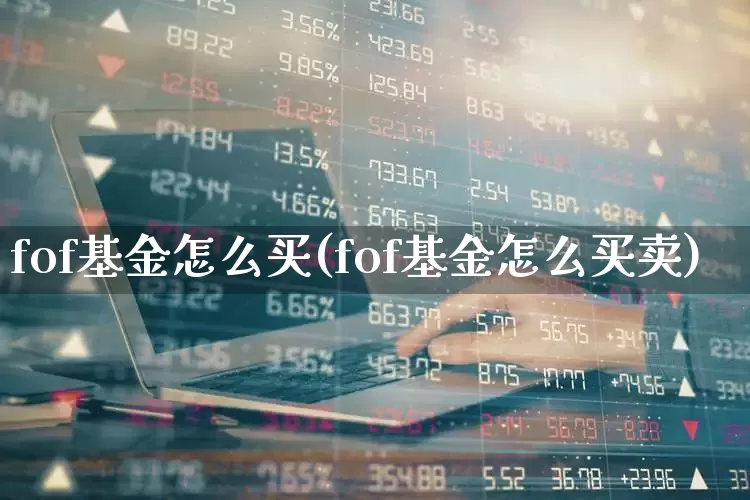 fof基金怎么买(fof基金怎么买卖)_https://www.xzdzchf.com_创业板_第1张