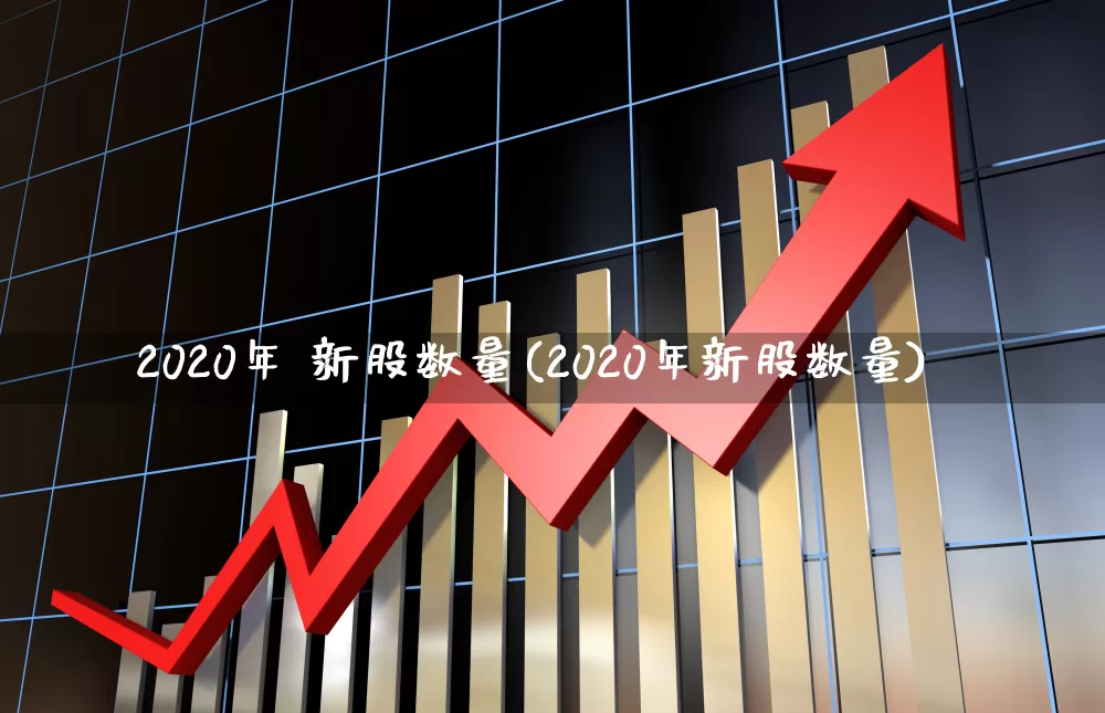 2020年 新股数量(2020年新股数量)_深交所_第1张_财经网 2020年 新股数量(2020年新股数量)_https://www.xzdzchf.com_深交所_第1张