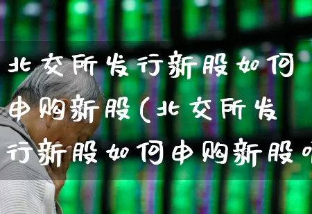北交所发行新股如何申购新股(北交所发行新股如何申购新股呢)_https://www.xzdzchf.com_北交所_第1张