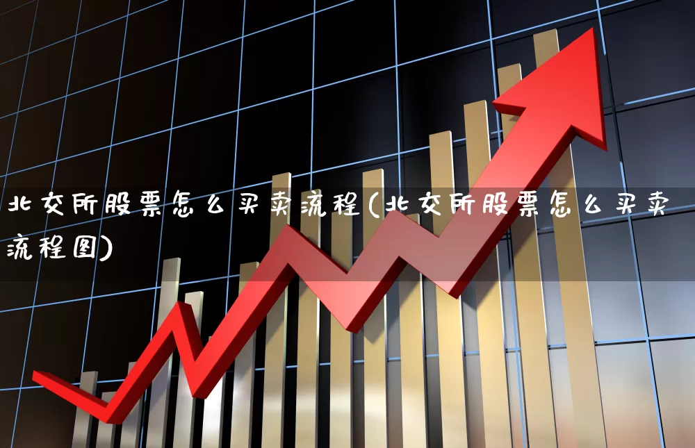 北交所股票怎么买卖流程(北交所股票怎么买卖流程图)_https://www.xzdzchf.com_科创板_第1张