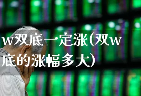w双底一定涨(双w底的涨幅多大)_https://www.xzdzchf.com_深交所_第1张