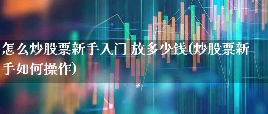 怎么炒股票新手入门 放多少钱(炒股票新手如何操作)_https://www.xzdzchf.com_深交所_第1张