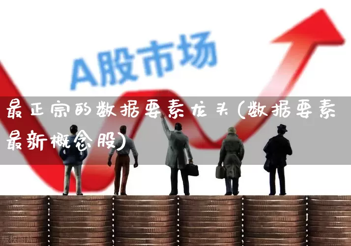 最正宗的数据要素龙头(数据要素最新概念股)_https://www.xzdzchf.com_科创板_第1张