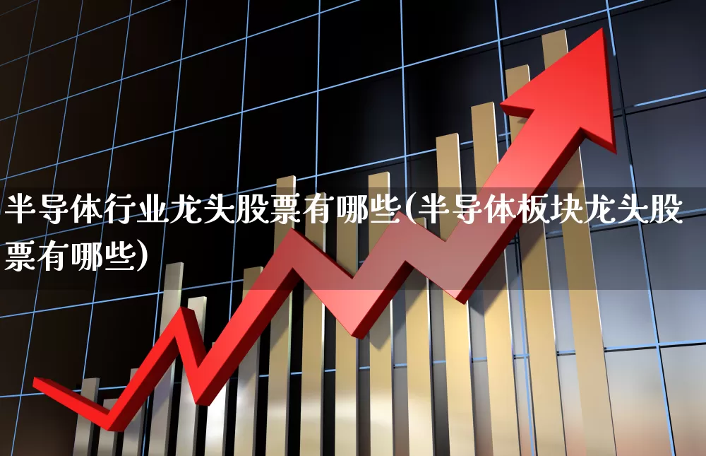 半导体行业龙头股票有哪些(半导体板块龙头股票有哪些)_https://www.xzdzchf.com_创业板_第1张
