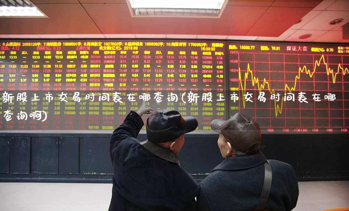 新股上市交易时间表在哪查询(新股上市交易时间表在哪查询啊)_https://www.xzdzchf.com_深交所_第1张