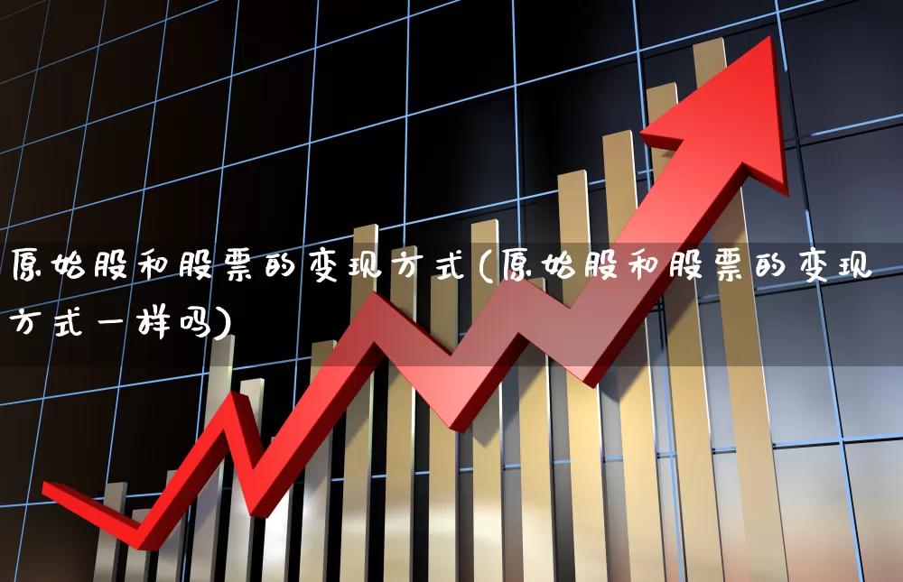 原始股和股票的变现方式(原始股和股票的变现方式一样吗)_https://www.xzdzchf.com_创业板_第1张