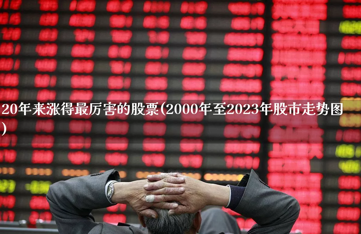 20年来涨得最厉害的股票(2000年至2023年股市走势图)_https://www.xzdzchf.com_科创板_第1张