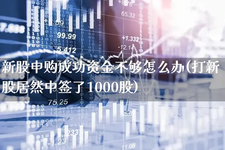新股申购成功资金不够怎么办(打新股居然中签了1000股)_https://www.xzdzchf.com_上交所_第1张