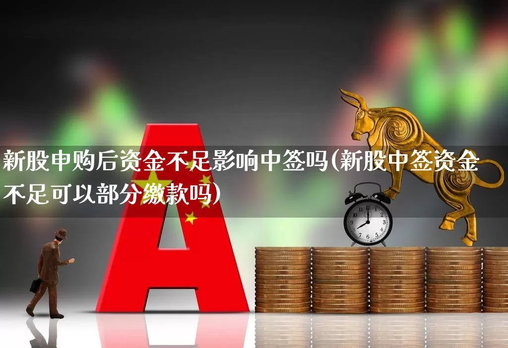 新股申购后资金不足影响中签吗(新股中签资金不足可以部分缴款吗)_https://www.xzdzchf.com_科创板_第1张