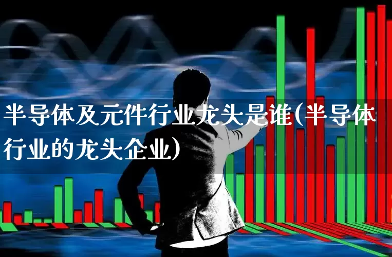 半导体及元件行业龙头是谁(半导体行业的龙头企业)_https://www.xzdzchf.com_北交所_第1张