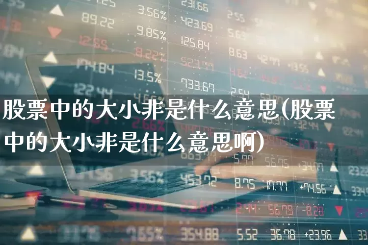 股票中的大小非是什么意思(股票中的大小非是什么意思啊)_https://www.xzdzchf.com_科创板_第1张