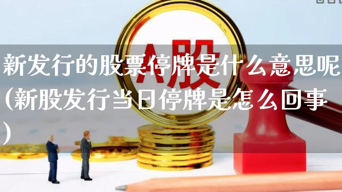 新发行的股票停牌是什么意思呢(新股发行当日停牌是怎么回事)_https://www.xzdzchf.com_科创板_第1张