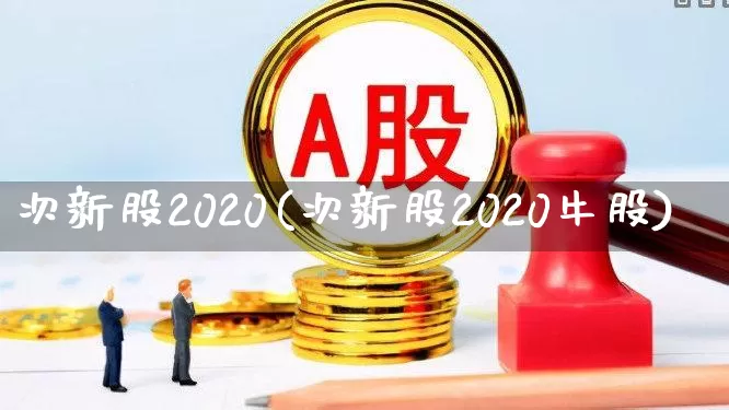 次新股2020(次新股2020牛股)_https://www.xzdzchf.com_北交所_第1张
