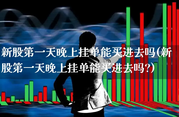 新股第一天晚上挂单能买进去吗(新股第一天晚上挂单能买进去吗?)_https://www.xzdzchf.com_科创板_第1张