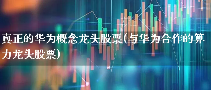 真正的华为概念龙头股票(与华为合作的算力龙头股票)_https://www.xzdzchf.com_北交所_第1张