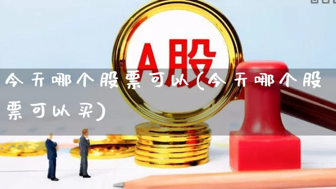 今天哪个股票可以(今天哪个股票可以买)_https://www.xzdzchf.com_创业板_第1张