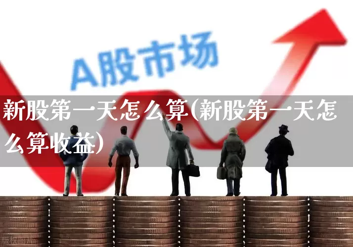 新股第一天怎么算(新股第一天怎么算收益)_https://www.xzdzchf.com_北交所_第1张
