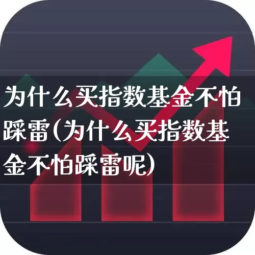 为什么买指数基金不怕踩雷(为什么买指数基金不怕踩雷呢)_https://www.xzdzchf.com_科创板_第1张