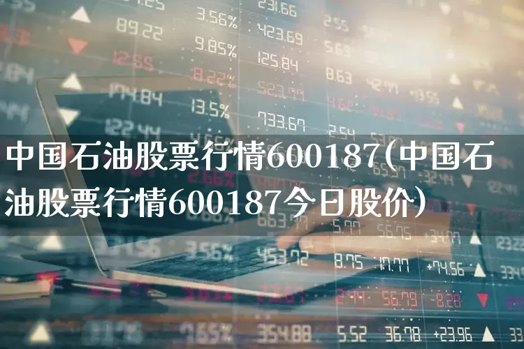 中国石油股票行情600187(中国石油股票行情600187今日股价)_https://www.xzdzchf.com_科创板_第1张