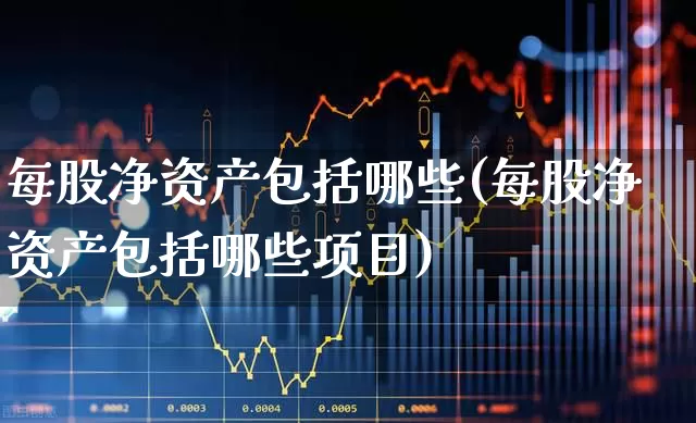 每股净资产包括哪些(每股净资产包括哪些项目)_https://www.xzdzchf.com_科创板_第1张