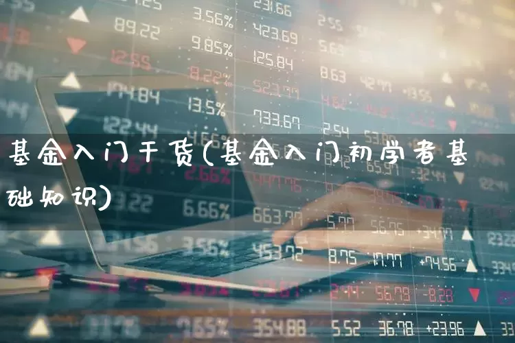基金入门干货(基金入门初学者基础知识)_https://www.xzdzchf.com_创业板_第1张