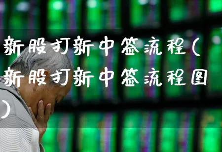新股打新中签流程(新股打新中签流程图)_https://www.xzdzchf.com_科创板_第1张