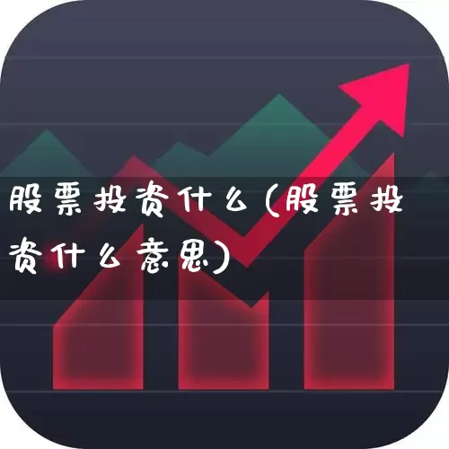 股票投资什么(股票投资什么意思)_https://www.xzdzchf.com_深交所_第1张