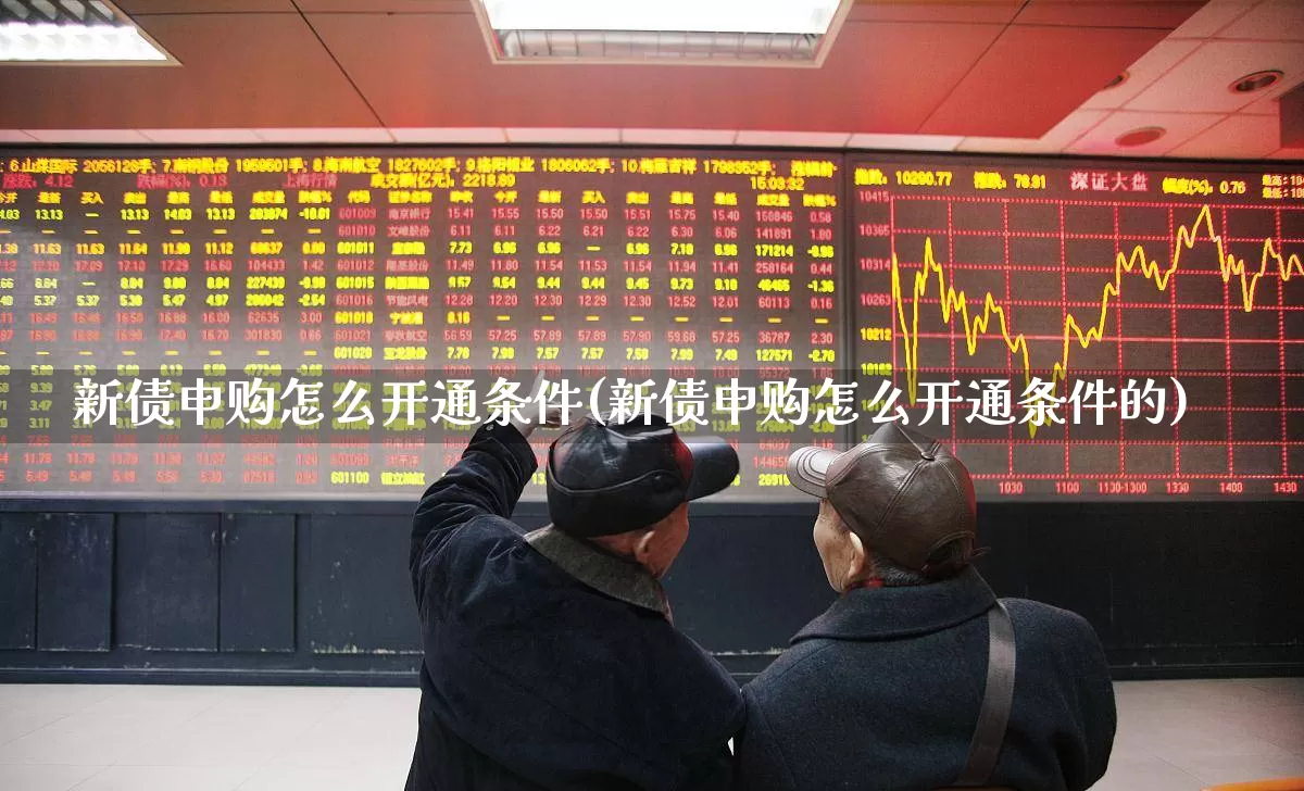 新债申购怎么开通条件(新债申购怎么开通条件的)_https://www.xzdzchf.com_深交所_第1张