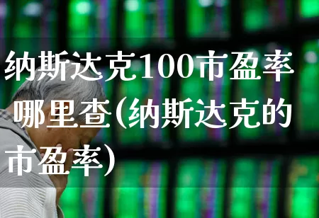 纳斯达克100市盈率 哪里查(纳斯达克的市盈率)_https://www.xzdzchf.com_科创板_第1张