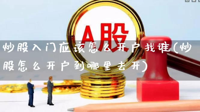 炒股入门应该怎么开户找谁(炒股怎么开户到哪里去开)_https://www.xzdzchf.com_北交所_第1张