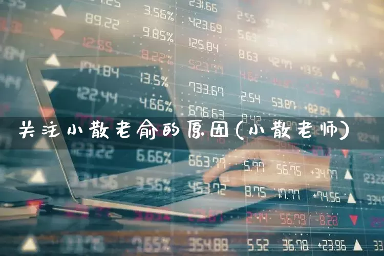 关注小散老俞的原因(小散老师)_https://www.xzdzchf.com_创业板_第1张