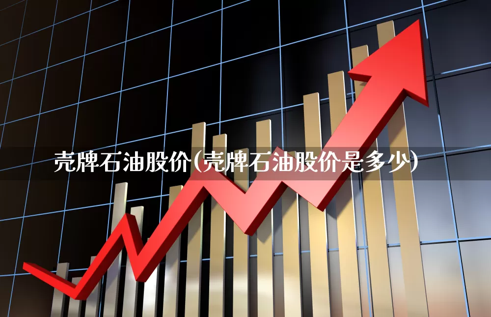 壳牌石油股价(壳牌石油股价是多少)_https://www.xzdzchf.com_北交所_第1张