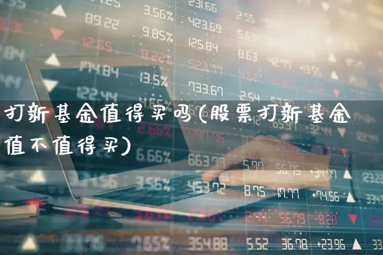 打新基金值得买吗(股票打新基金值不值得买)_https://www.xzdzchf.com_上交所_第1张