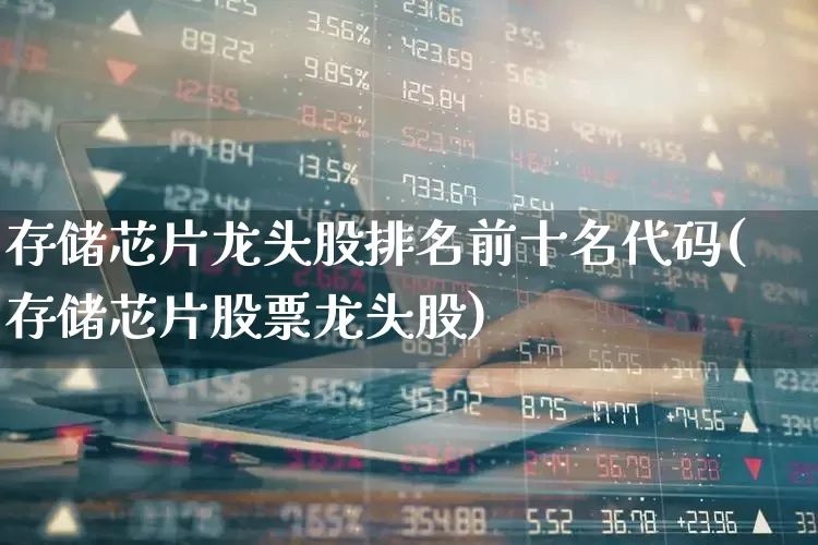 存储芯片龙头股排名前十名代码(存储芯片股票龙头股)_https://www.xzdzchf.com_创业板_第1张