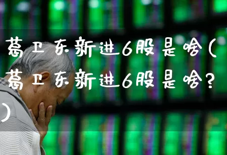 葛卫东新进6股是啥(葛卫东新进6股是啥?)_https://www.xzdzchf.com_上交所_第1张