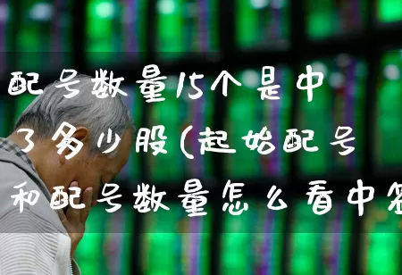 配号数量15个是中了多少股(起始配号和配号数量怎么看中签)_https://www.xzdzchf.com_深交所_第1张
