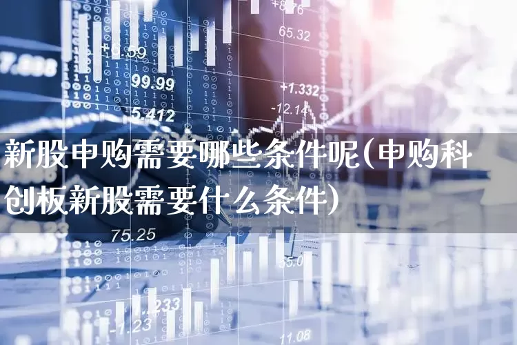 新股申购需要哪些条件呢(申购科创板新股需要什么条件)_https://www.xzdzchf.com_科创板_第1张