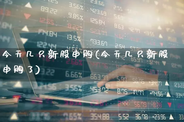 今天几只新股申购(今天几只新股申购了)_https://www.xzdzchf.com_科创板_第1张