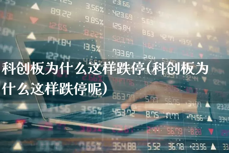 科创板为什么这样跌停(科创板为什么这样跌停呢)_https://www.xzdzchf.com_深交所_第1张
