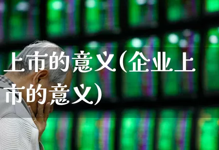 上市的意义(企业上市的意义)_https://www.xzdzchf.com_创业板_第1张