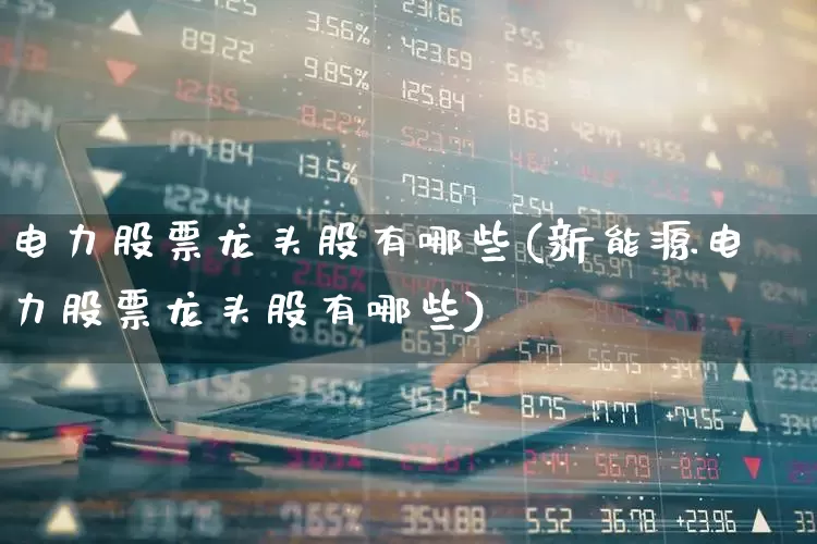 电力股票龙头股有哪些(新能源电力股票龙头股有哪些)_https://www.xzdzchf.com_北交所_第1张