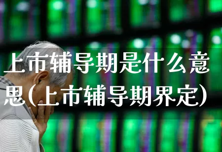 上市辅导期是什么意思(上市辅导期界定)_https://www.xzdzchf.com_科创板_第1张