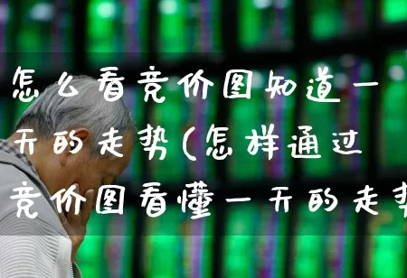 怎么看竞价图知道一天的走势(怎样通过竞价图看懂一天的走势)_https://www.xzdzchf.com_创业板_第1张