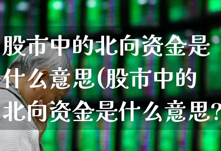 股市中的北向资金是什么意思(股市中的北向资金是什么意思?)_https://www.xzdzchf.com_上交所_第1张