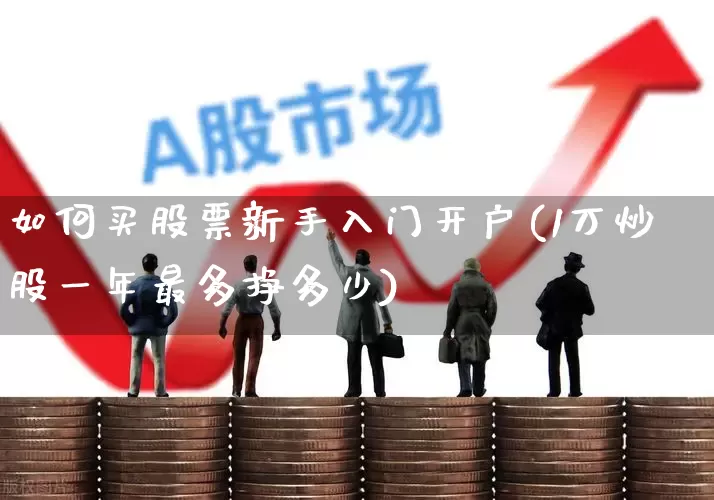 如何买股票新手入门开户(1万炒股一年最多挣多少)_https://www.xzdzchf.com_创业板_第1张