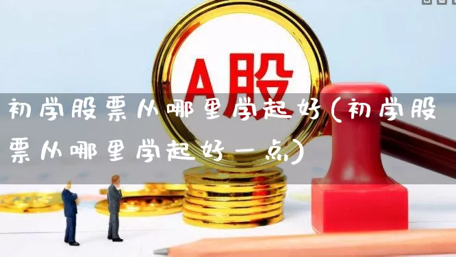 初学股票从哪里学起好(初学股票从哪里学起好一点)_https://www.xzdzchf.com_上交所_第1张
